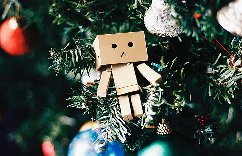 How to Cope with Grief During the Holiday Season?