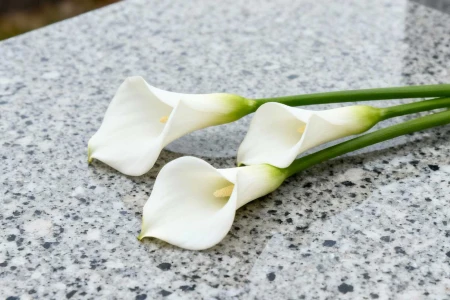 Funeral and Cemetery Flowers – Tradition, Symbolism and Equipment