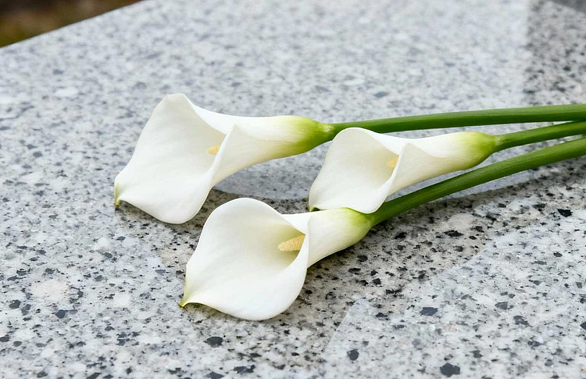 Funeral and Cemetery Flowers – Tradition, Symbolism and Equipment