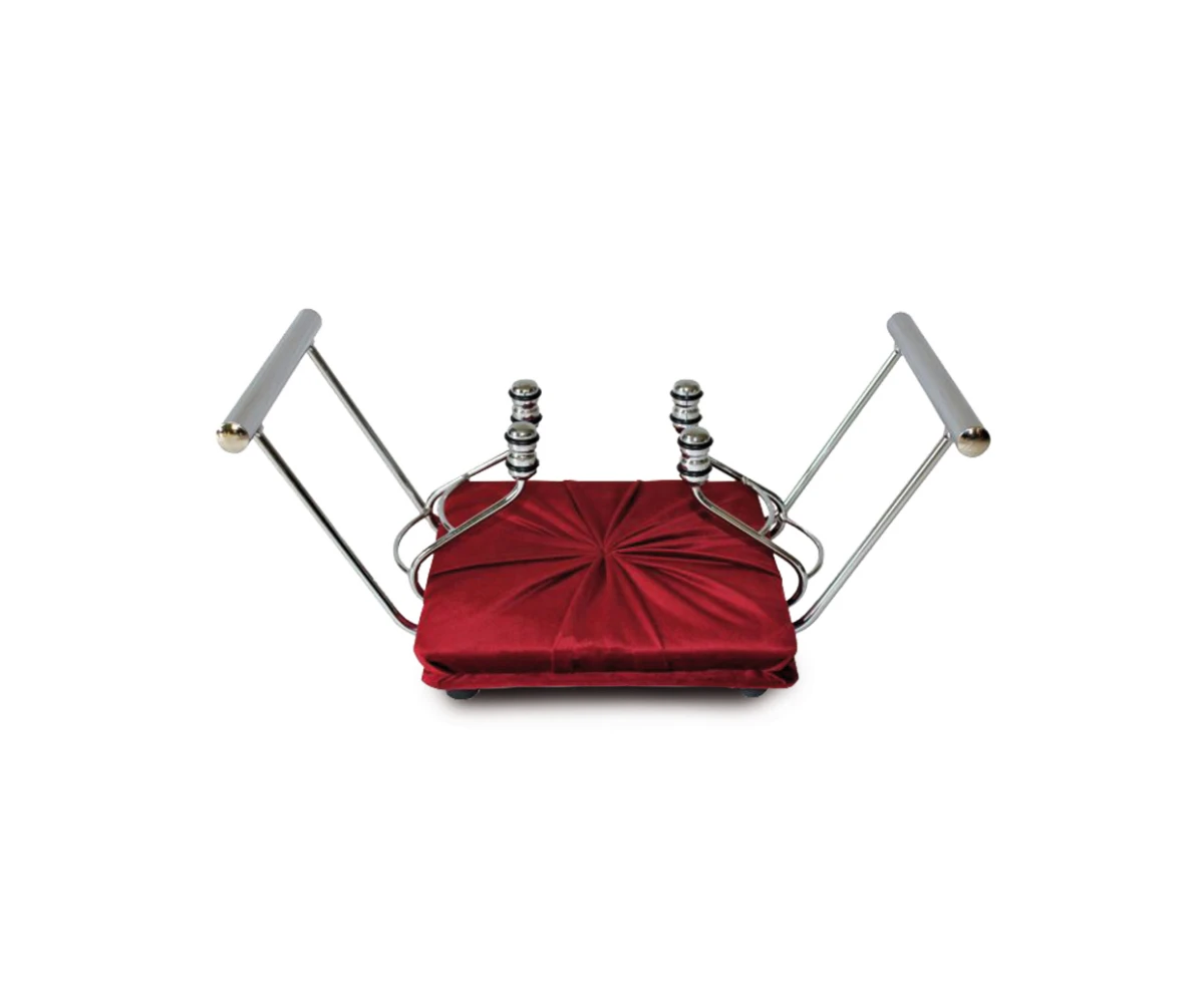 Carrying-case-for-an-urn